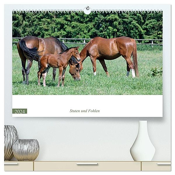 Frühling auf der Pferdeweide (hochwertiger Premium Wandkalender 2024 DIN A2 quer), Kunstdruck in Hochglanz, Claudia Kleemann