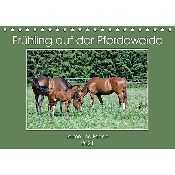 Frühling auf der Pferdeweide (Tischkalender 2021 DIN A5 quer), Claudia Kleemann