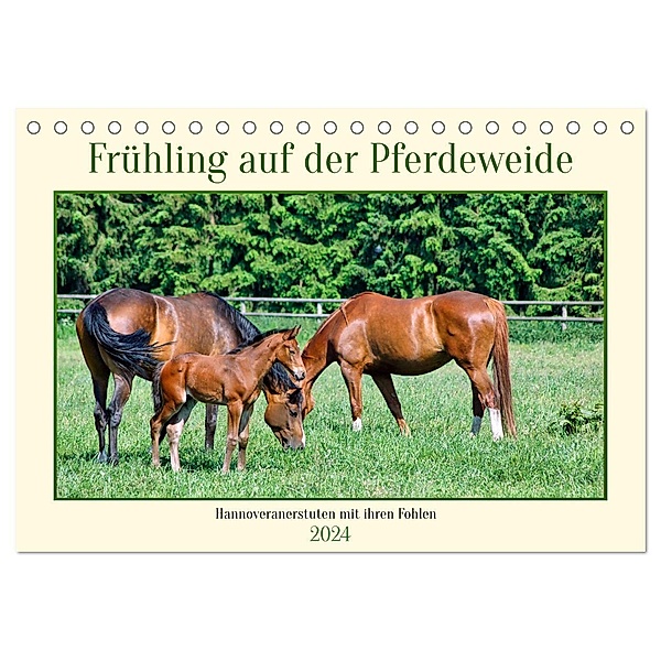 Frühling auf der Pferdeweide (Tischkalender 2024 DIN A5 quer), CALVENDO Monatskalender, Claudia Kleemann