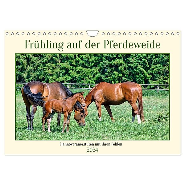 Frühling auf der Pferdeweide (Wandkalender 2024 DIN A4 quer), CALVENDO Monatskalender, Claudia Kleemann