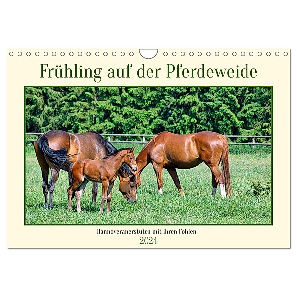 Frühling auf der Pferdeweide (Wandkalender 2024 DIN A4 quer), CALVENDO Monatskalender, Claudia Kleemann
