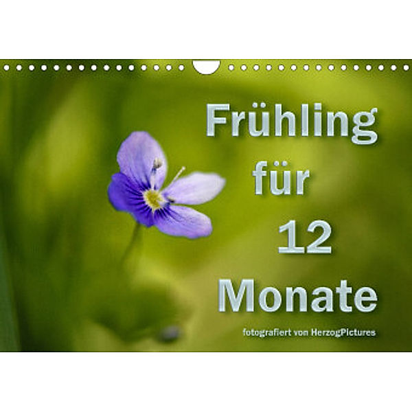 Frühling für 12 Monate (Wandkalender 2022 DIN A4 quer), HerzogPictures