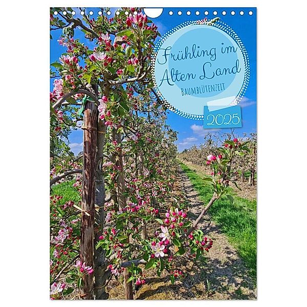 Frühling im Alten Land - Baumblütenzeit (Wandkalender 2025 DIN A4 hoch), CALVENDO Monatskalender, Calvendo, Beate Bussenius