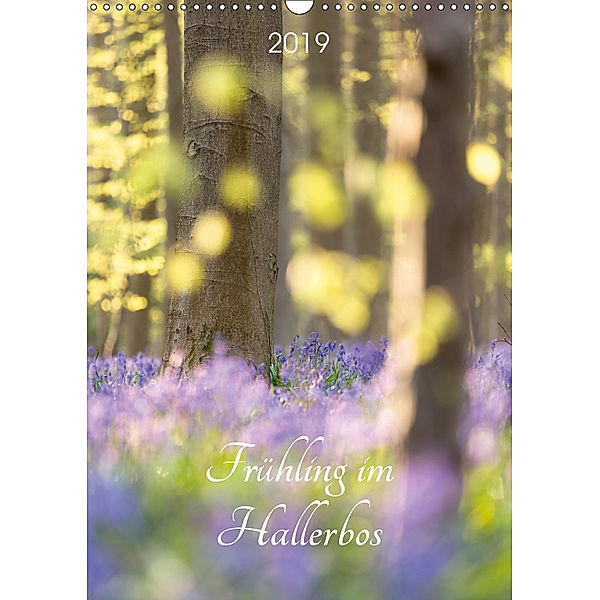 Frühling im Hallerbos (Wandkalender 2019 DIN A3 hoch), Sandra Eigenheer