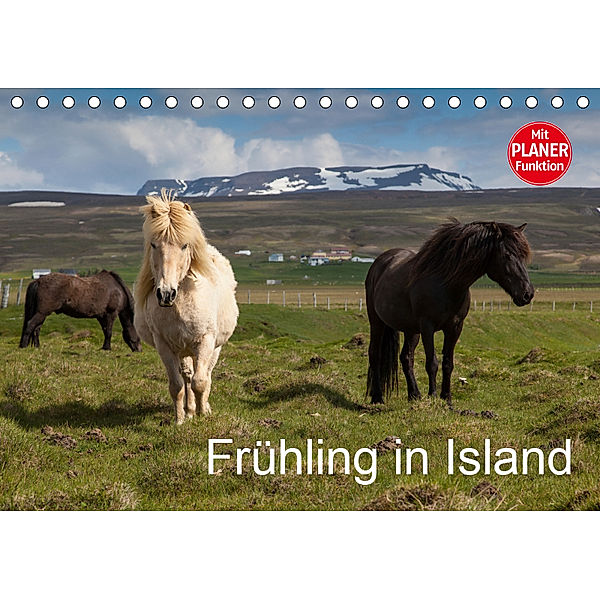 Frühling in Island (Tischkalender 2019 DIN A5 quer), Helmut Gulbins