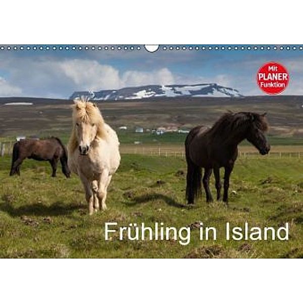 Frühling in Island (Wandkalender 2016 DIN A3 quer), Helmut Gulbins