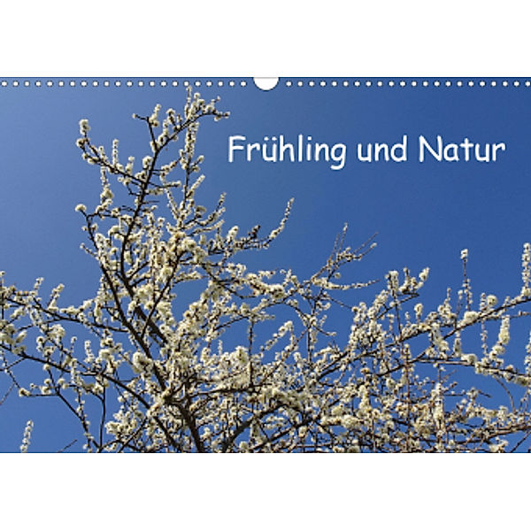 Frühling und Natur (Wandkalender 2021 DIN A3 quer), Pocketkai