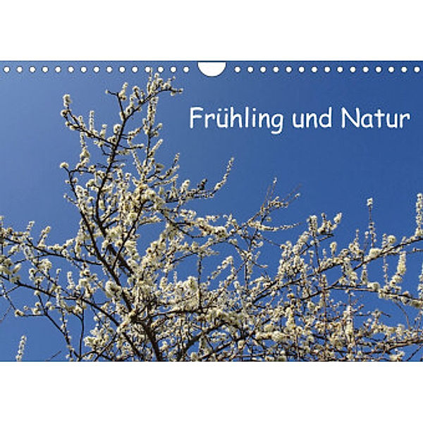 Frühling und Natur (Wandkalender 2022 DIN A4 quer), Pocketkai