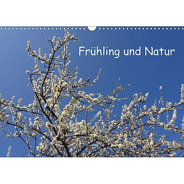 Frühling und Natur (Wandkalender 2023 DIN A3 quer), Pocketkai