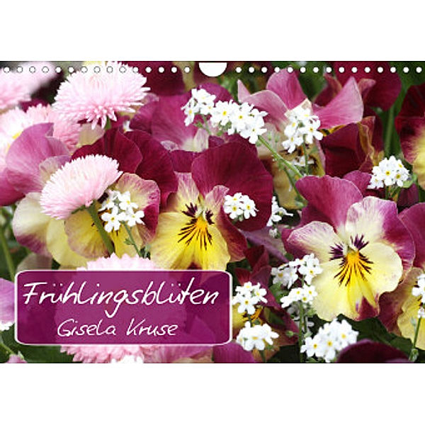 Frühlingsblüten (Wandkalender 2022 DIN A4 quer), Gisela Kruse