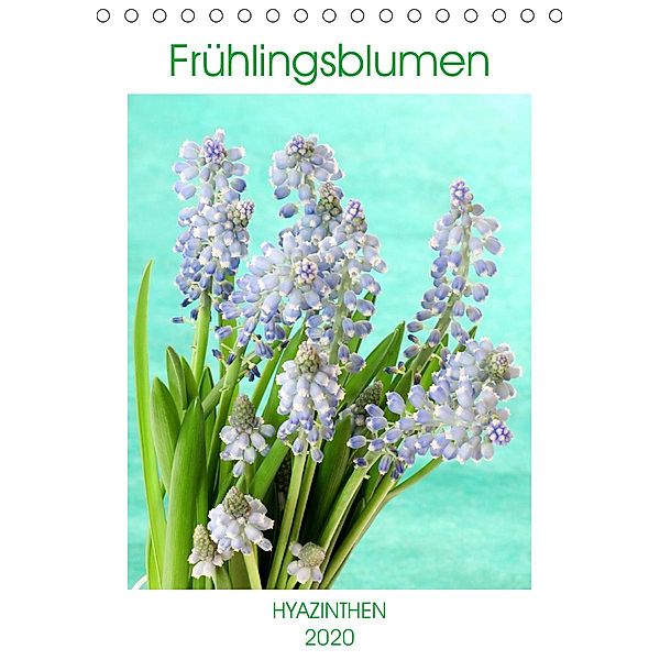 Frühlingsblumen Hyazinthen (Tischkalender 2020 DIN A5 hoch), Gisela Kruse