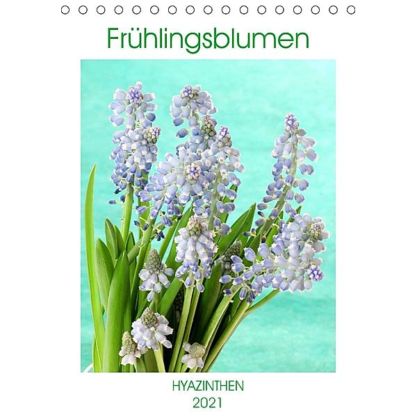 Frühlingsblumen Hyazinthen (Tischkalender 2021 DIN A5 hoch), Gisela Kruse