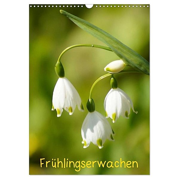 Frühlingserwachen (Wandkalender 2024 DIN A3 hoch), CALVENDO Monatskalender, Kattobello