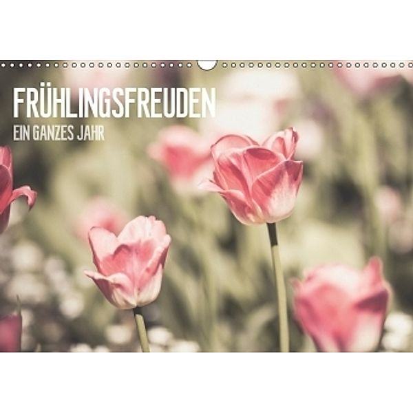 Frühlingsfreuden - Ein ganzes Jahr (Wandkalender 2017 DIN A3 quer), Jeanette Dobrindt
