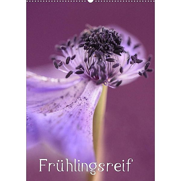 Frühlingsreif (Wandkalender 2023 DIN A2 hoch), Kathleen Tjarks