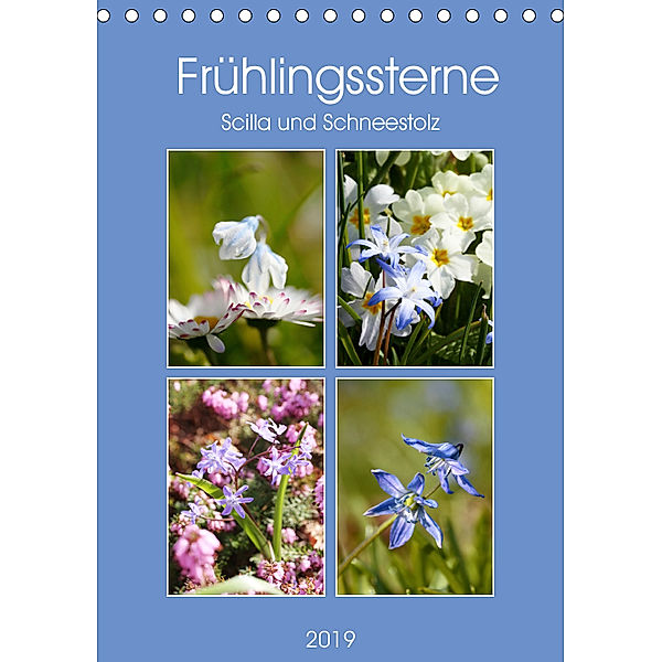 Frühlingssterne Scilla und Schneestolz (Tischkalender 2019 DIN A5 hoch), Gisela Kruse