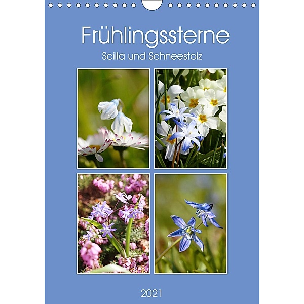Frühlingssterne Scilla und Schneestolz (Wandkalender 2021 DIN A4 hoch), Gisela Kruse