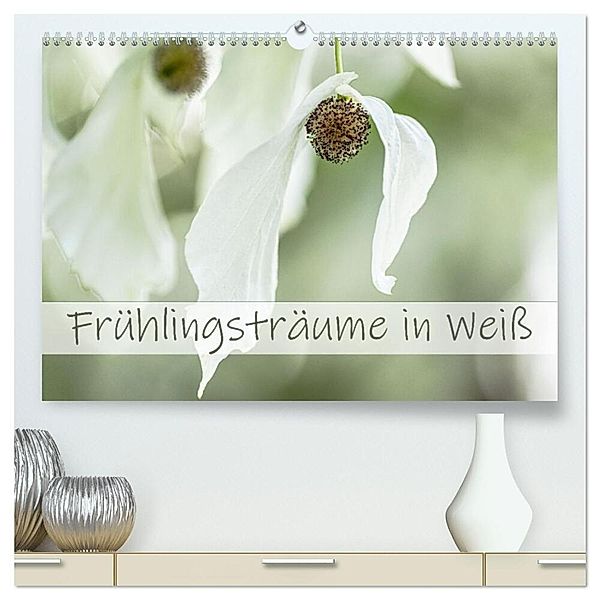 Frühlingsträume in Weiß (hochwertiger Premium Wandkalender 2025 DIN A2 quer), Kunstdruck in Hochglanz, Calvendo, Monika Scheurer