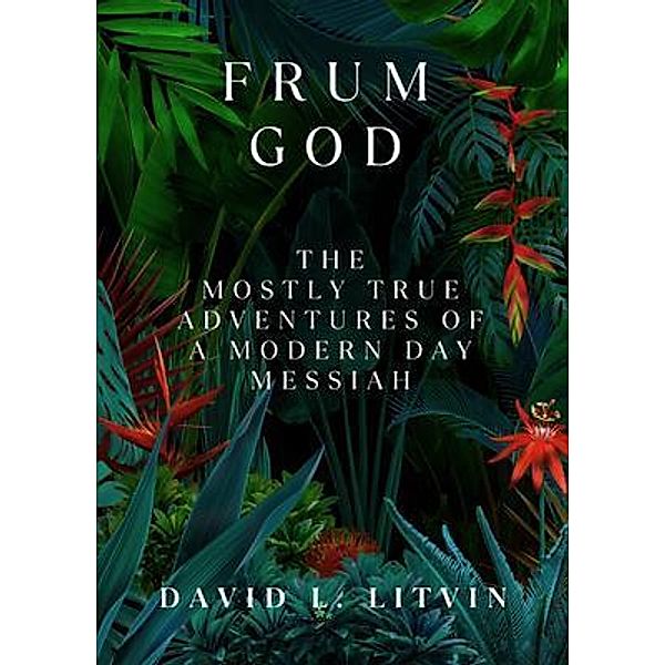 Frum God, David Litvin