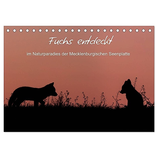 Fuchs entdeckt - im Naturparadies der Mecklenburgischen Seenplatte (Tischkalender 2024 DIN A5 quer), CALVENDO Monatskalender, André Pretzel - FotoPretzel