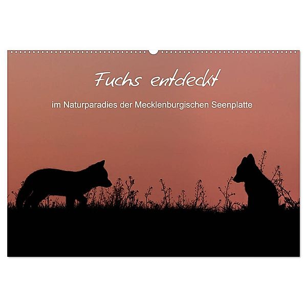 Fuchs entdeckt - im Naturparadies der Mecklenburgischen Seenplatte (Wandkalender 2025 DIN A2 quer), CALVENDO Monatskalender, Calvendo, André Pretzel - FotoPretzel