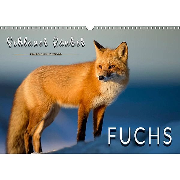 Fuchs - schlauer Räuber (Wandkalender 2023 DIN A3 quer), Peter Roder