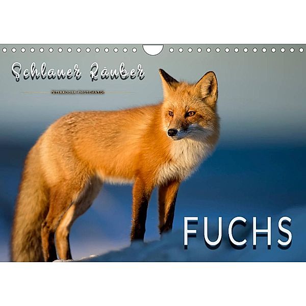 Fuchs - schlauer Räuber (Wandkalender 2023 DIN A4 quer), Peter Roder