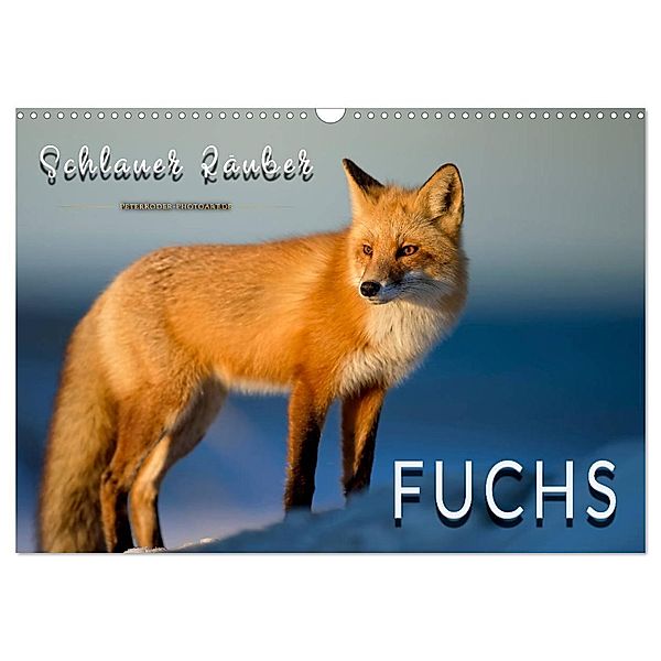 Fuchs - schlauer Räuber (Wandkalender 2025 DIN A3 quer), CALVENDO Monatskalender, Calvendo, Peter Roder
