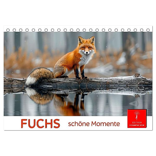 Fuchs - schöne Momente (Tischkalender 2025 DIN A5 quer), CALVENDO Monatskalender, Calvendo, Peter Roder