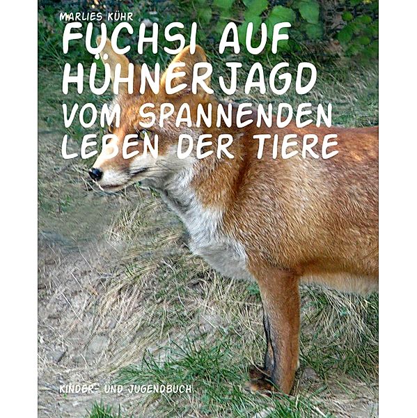 Fuchsi auf Hühnerjagd, Marlies Kühr