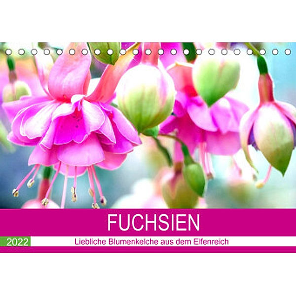 Fuchsien. Liebliche Blumenkelche aus dem Elfenreich (Tischkalender 2022 DIN A5 quer), Rose Hurley