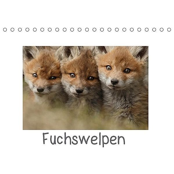 Fuchswelpen (Tischkalender 2017 DIN A5 quer), Gabi Marklein