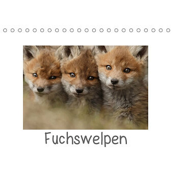 Fuchswelpen (Tischkalender 2022 DIN A5 quer), Gabi Marklein