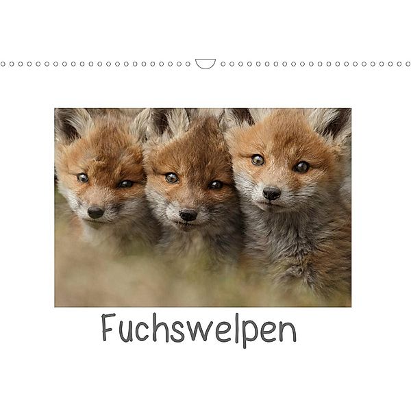 Fuchswelpen (Wandkalender 2023 DIN A3 quer), Gabi Marklein