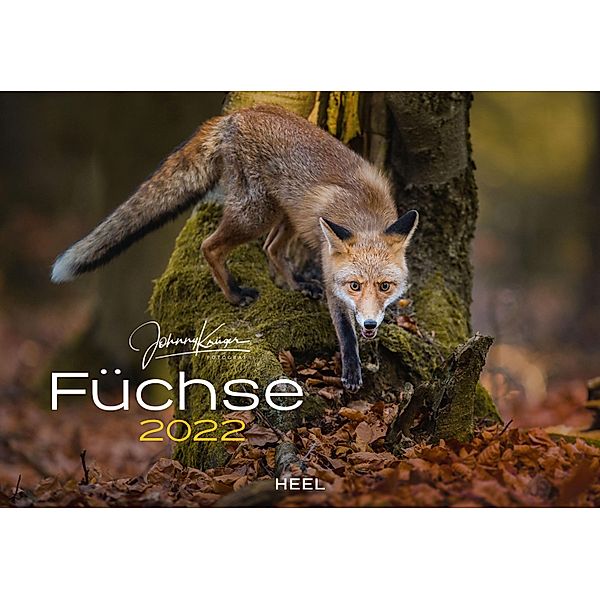 Füchse 2022