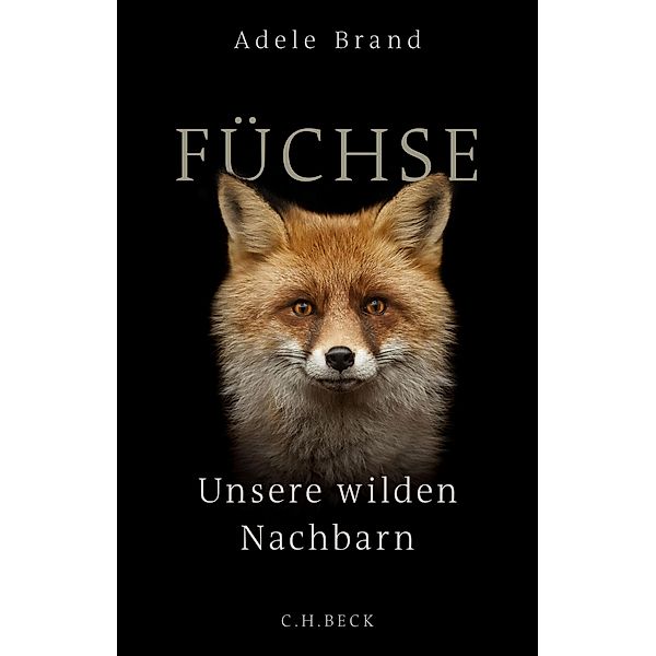 Füchse, Adele Brand