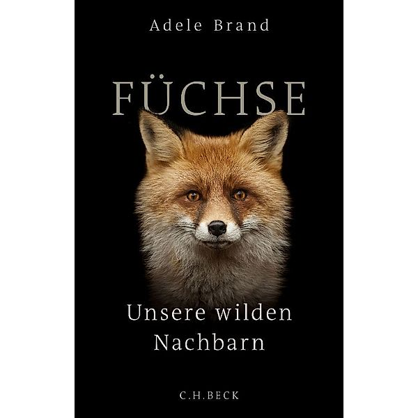 Füchse, Adele Brand