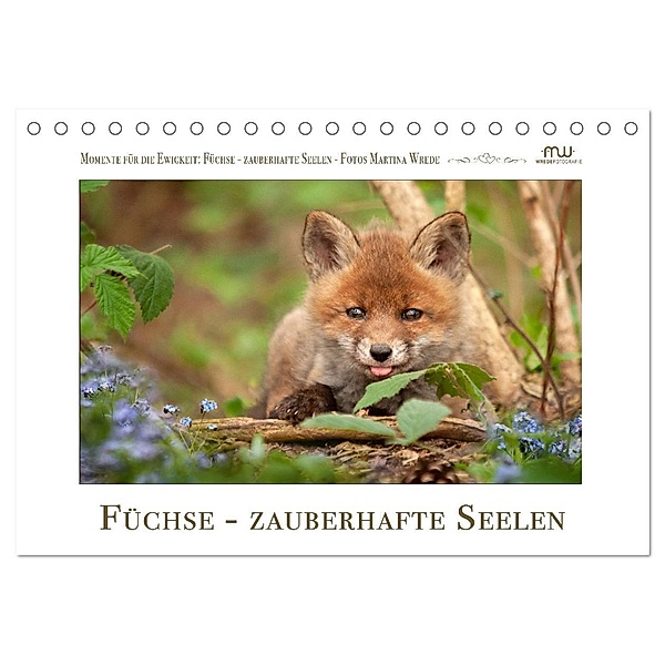 Füchse - zauberhafte Seelen (Tischkalender 2024 DIN A5 quer), CALVENDO Monatskalender, Martina Wrede - Wredefotografie