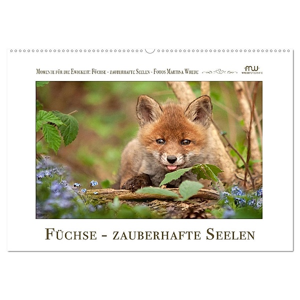 Füchse - zauberhafte Seelen (Wandkalender 2024 DIN A2 quer), CALVENDO Monatskalender, Martina Wrede - Wredefotografie