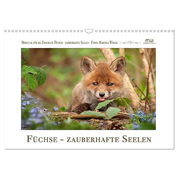 Füchse - zauberhafte Seelen (Wandkalender 2024 DIN A3 quer), CALVENDO Monatskalender, Martina Wrede - Wredefotografie