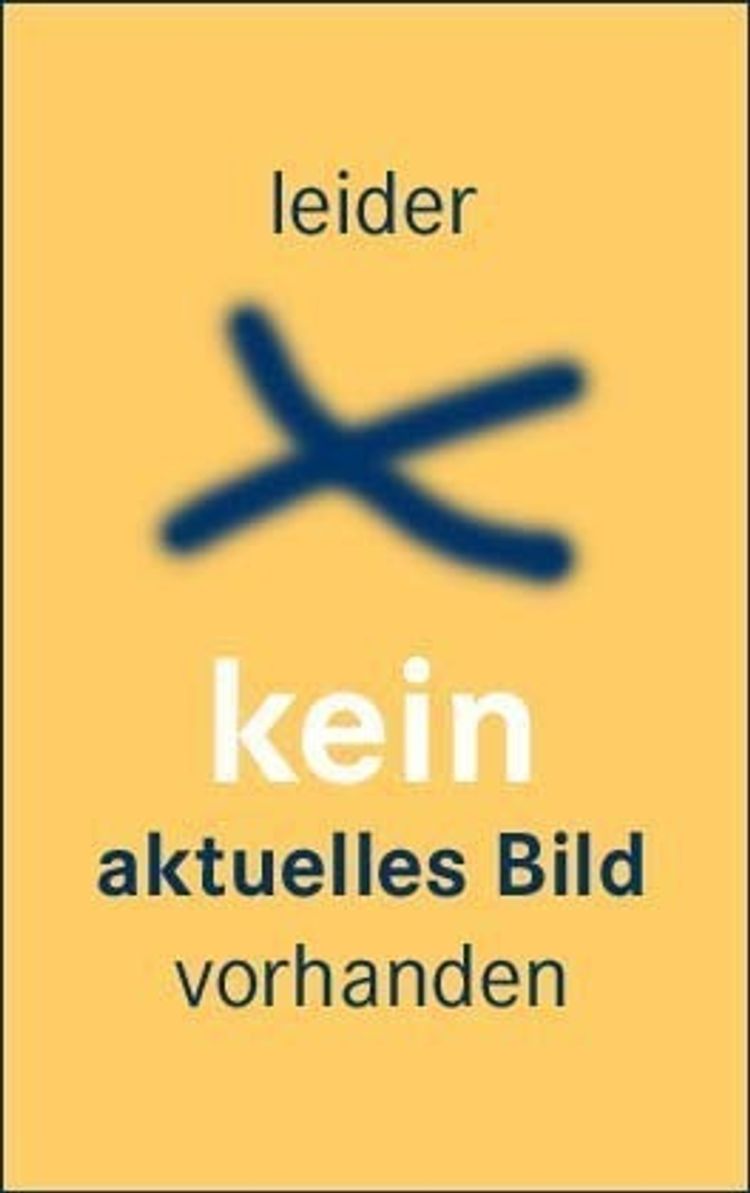 Führerstandsmitfahrten, 1 DVD DVD bei Weltbild.ch bestellen