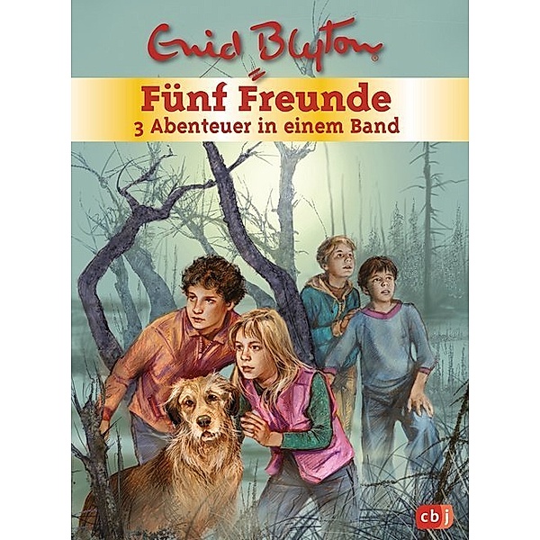 Fünf Freunde - 3 Abenteuer in einem Band / Fünf Freunde Sammelbände Bd.1, Enid Blyton