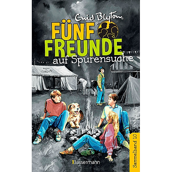 Fünf Freunde auf Spurensuche / Fünf Freunde Doppelbände Bd.10, Enid Blyton