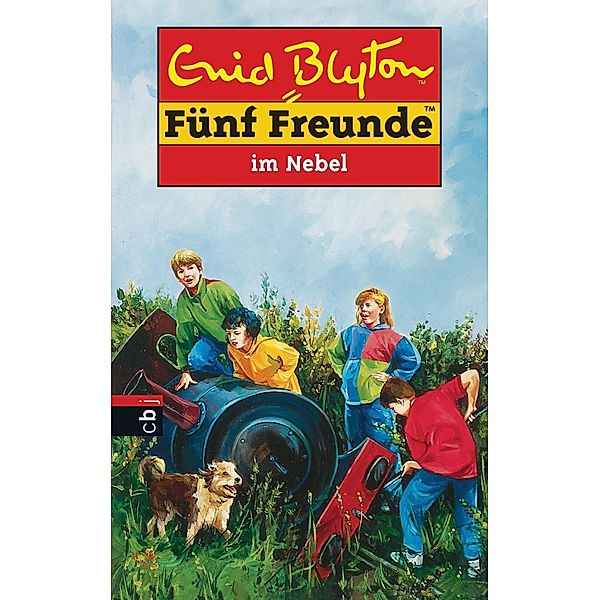 Fünf Freunde Band 17: Fünf Freunde im Nebel, Enid Blyton