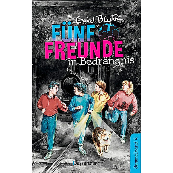 Fünf Freunde in Bedrängnis / Fünf Freunde Doppelbände Bd.4, Enid Blyton