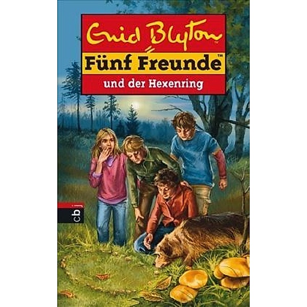 Fünf Freunde und der Hexenring / Fünf Freunde Bd.53, Enid Blyton