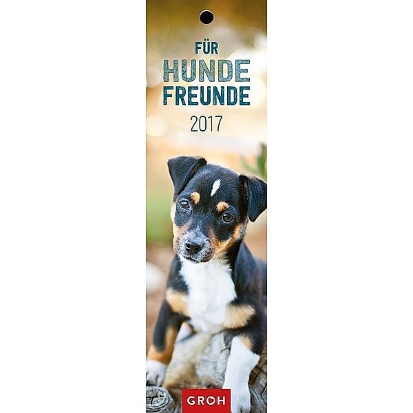 Für Hundefreunde 2017