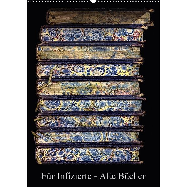 Für Infizierte - Alte Bücher (Wandkalender 2018 DIN A2 hoch), Erwin Renken