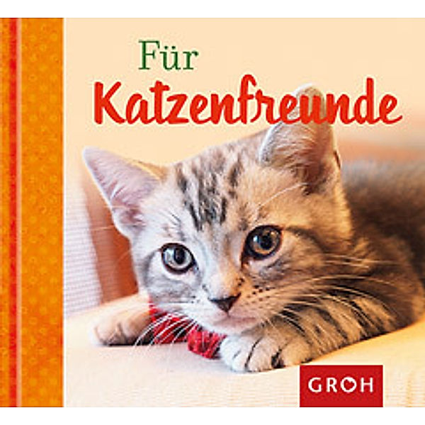 Für Katzenfreunde