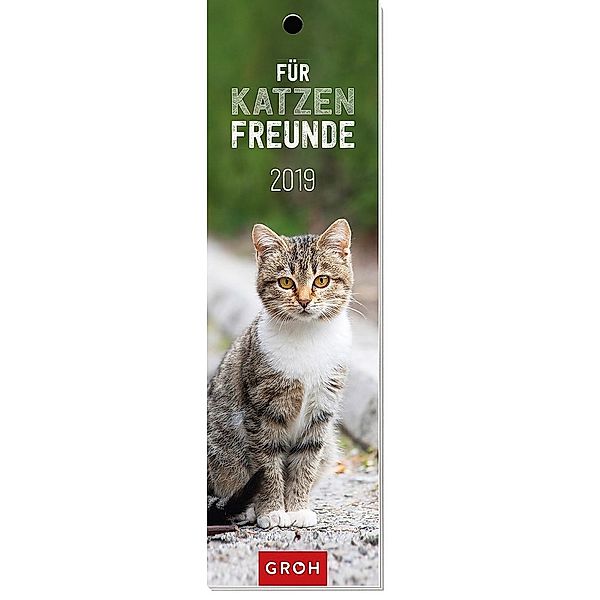 Für Katzenfreunde 2019